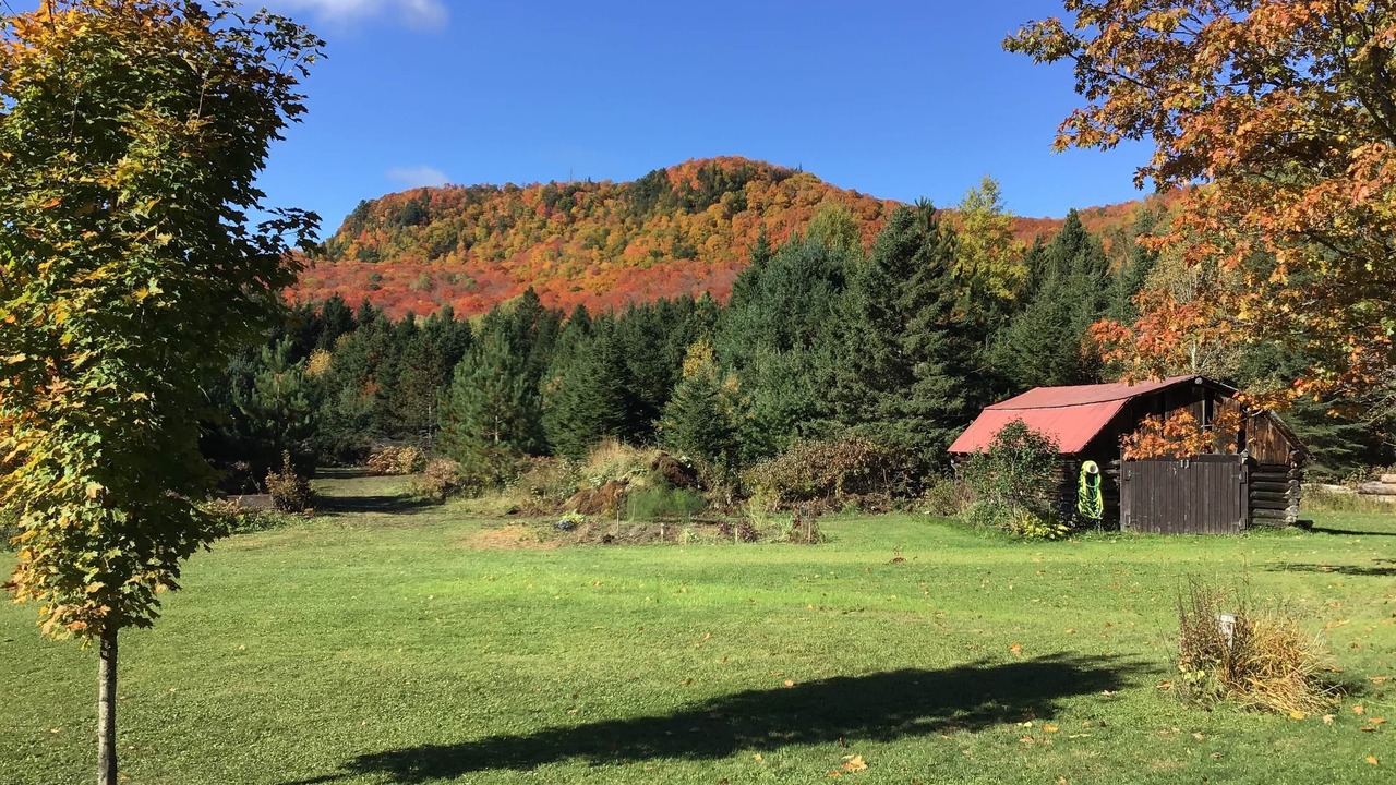Photo of Others in Searchmont