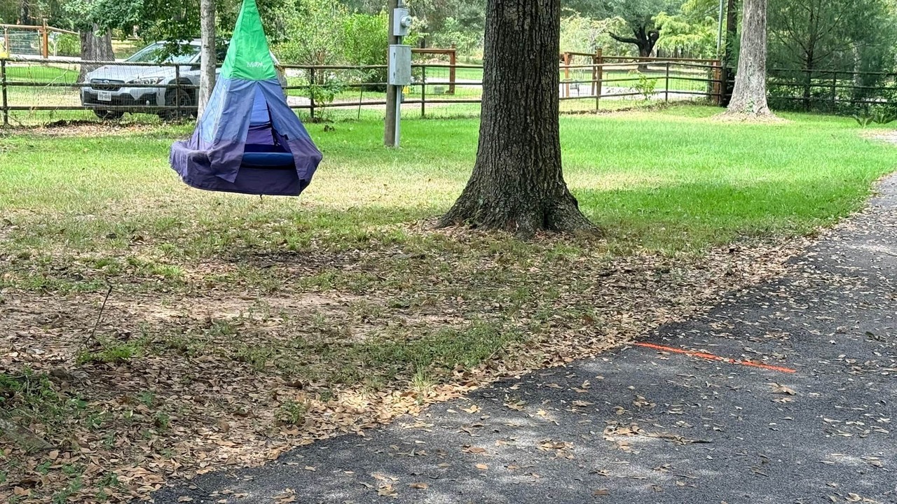 Photo of Others in Conroe