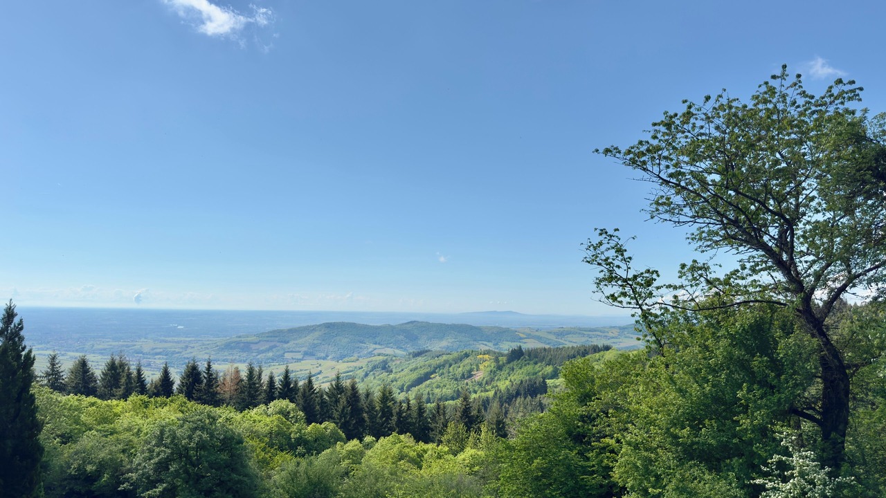 Photo of Others in Cenves