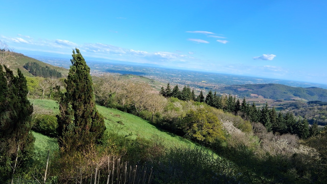 Photo of Others in Cenves