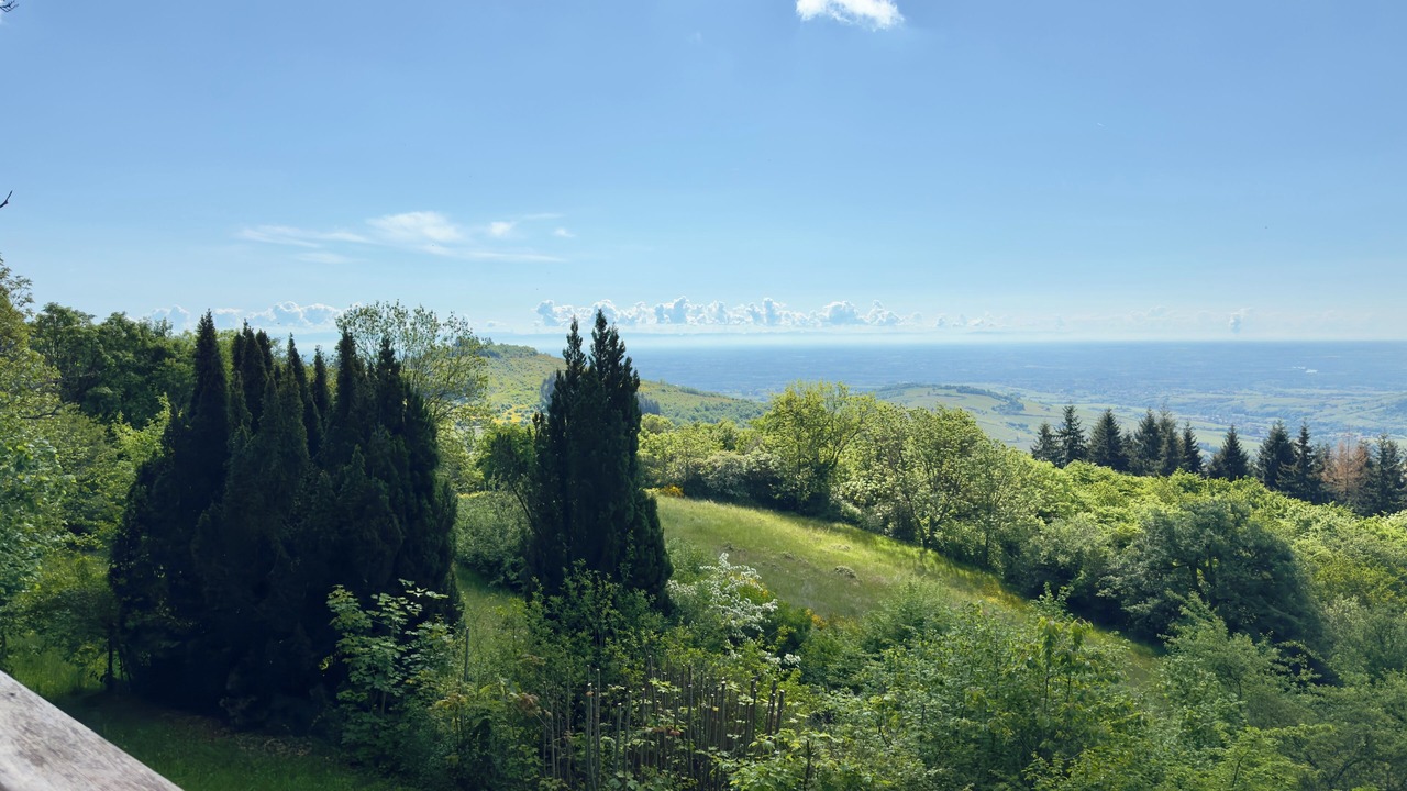 Photo of Others in Cenves