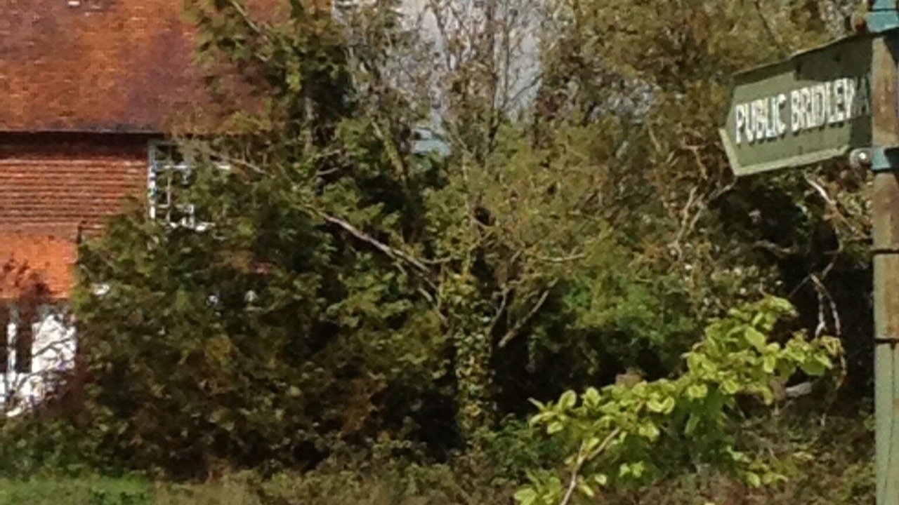 Photo of Others in Plumpton Green