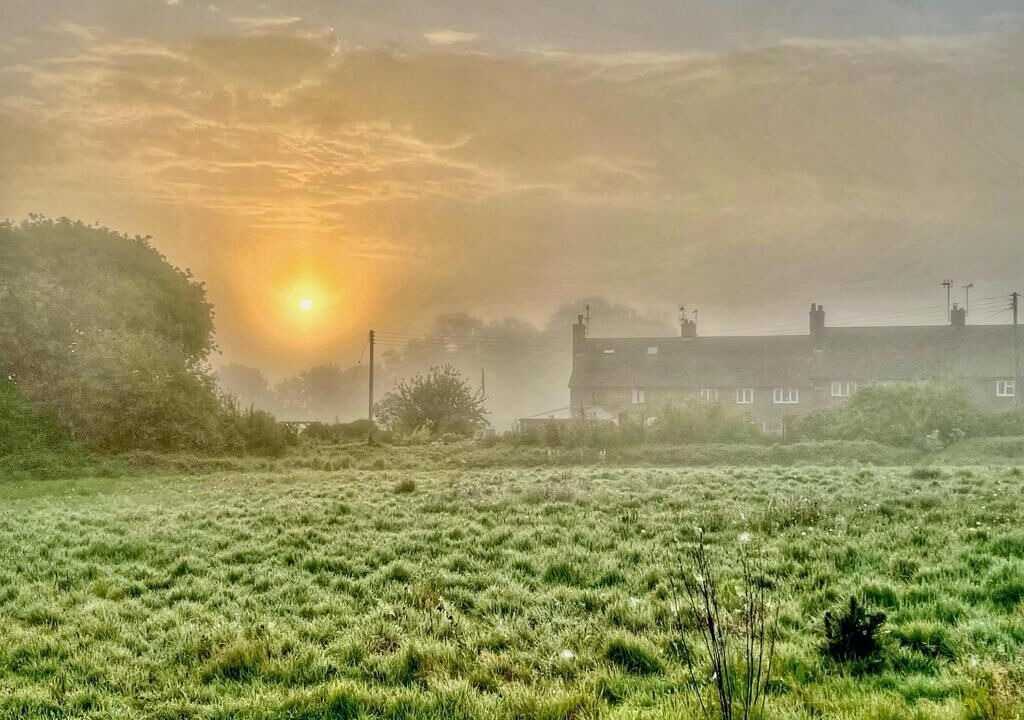 Photo of Others in Plumpton Green