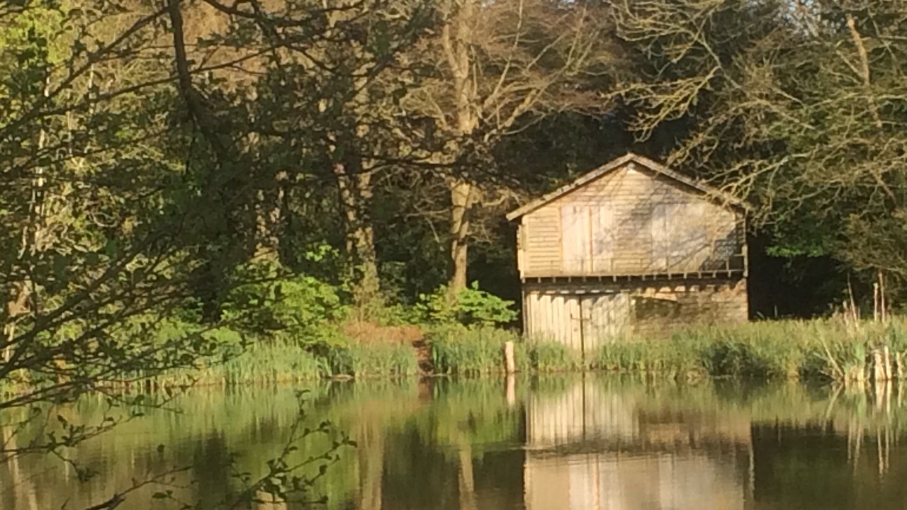 Photo of Others in Plumpton Green