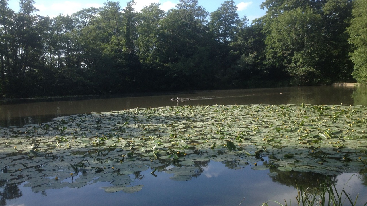 Photo of Others in Plumpton Green