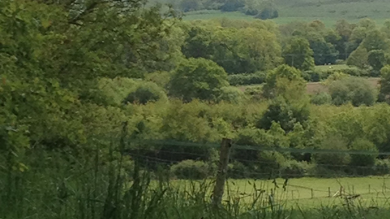 Photo of Others in Plumpton Green