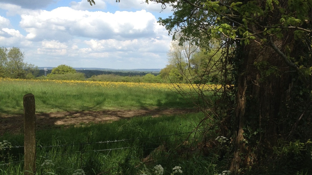 Photo of Others in Plumpton Green