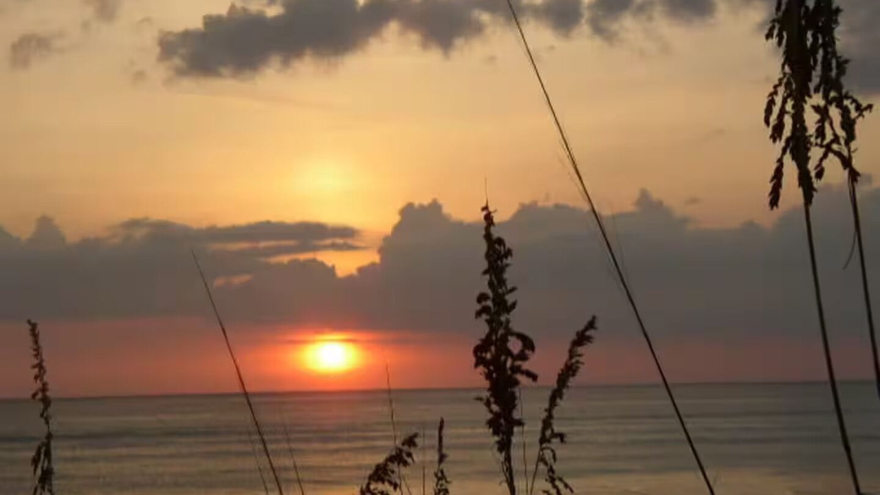 Photo of Others in Palm Island