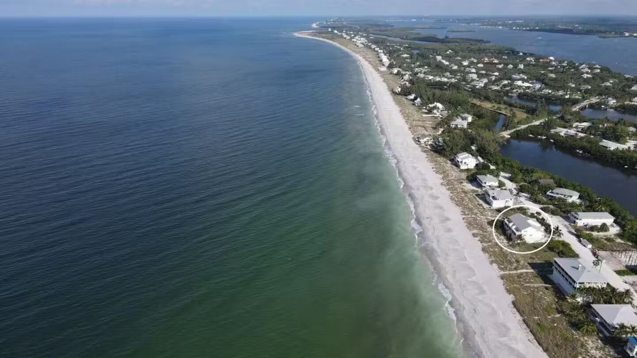 Photo of Others in Palm Island