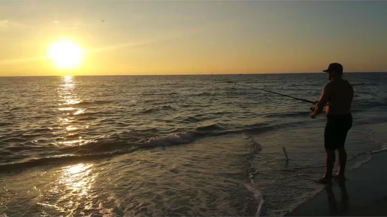 Photo of Others in Palm Island