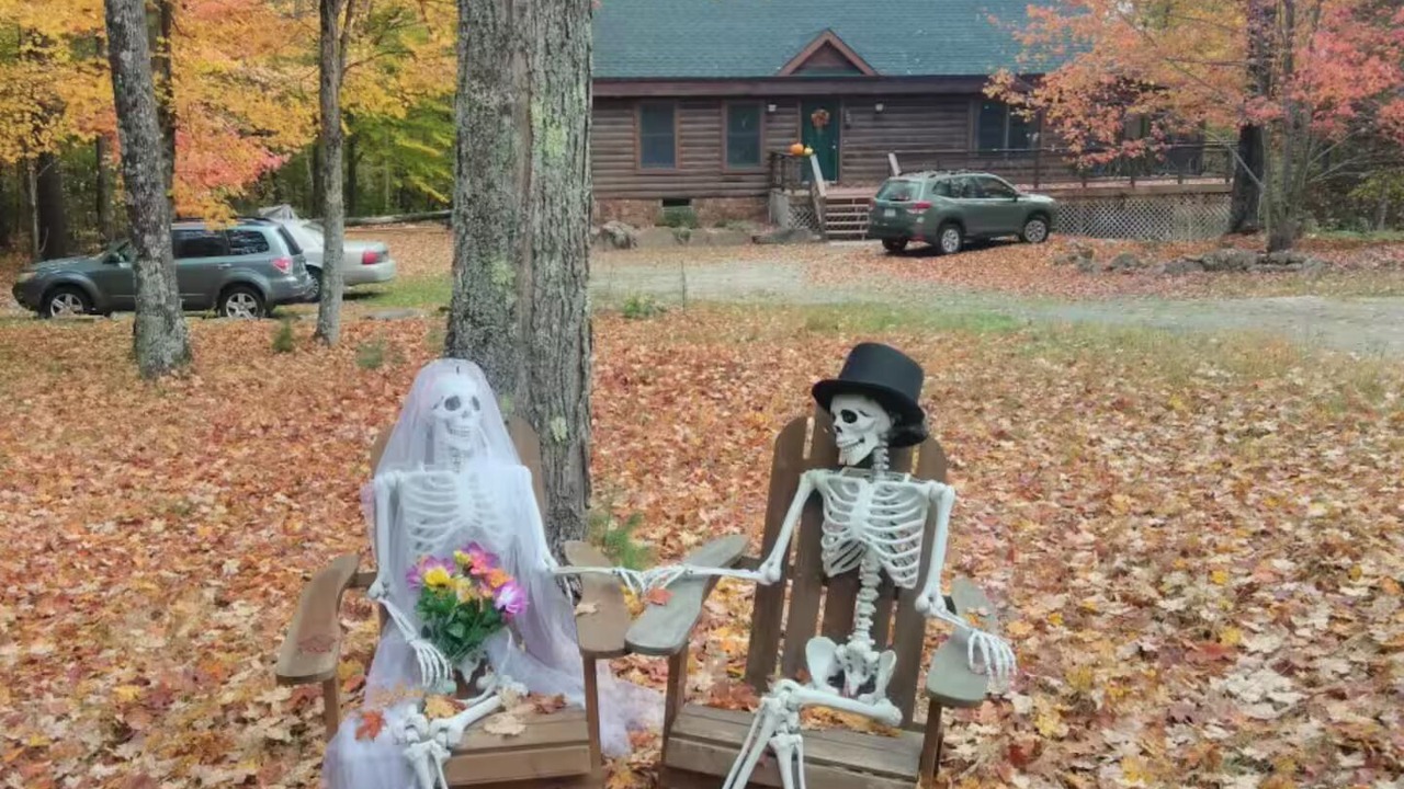 Photo of Others in North Creek