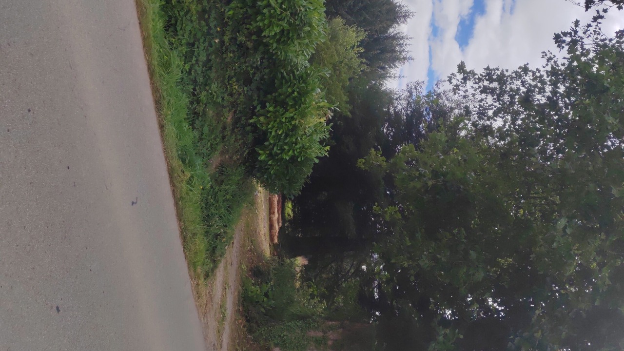 Photo of Others in Saint-Aignan