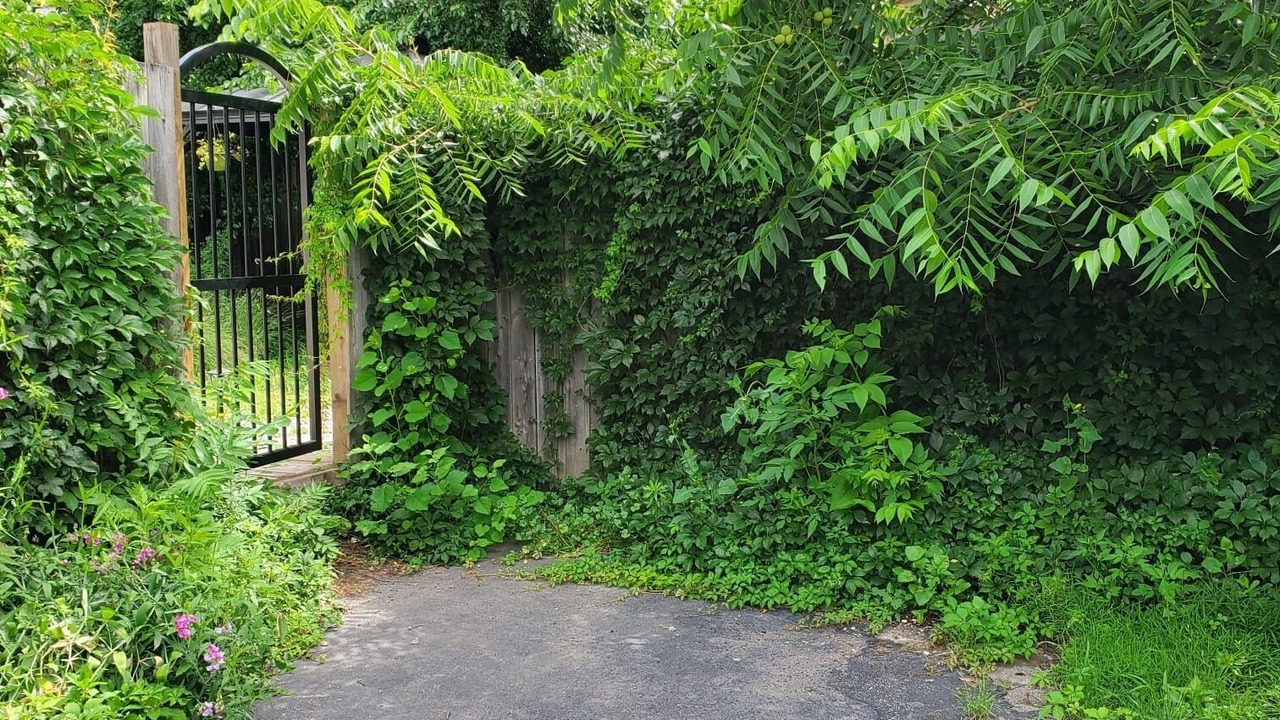 Photo of Outdoor in Niagara Falls