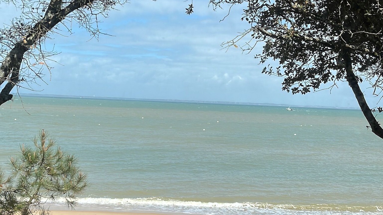 Photo of Others in Noirmoutier-en-l'Ile