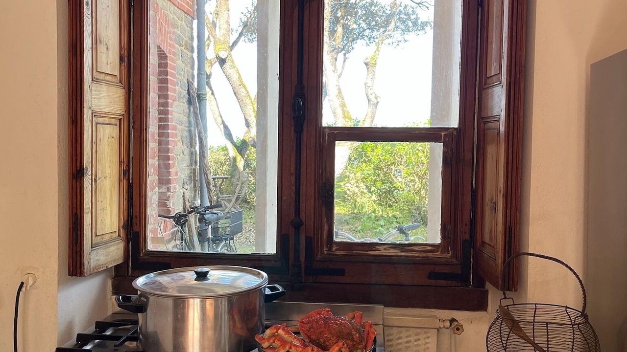 Photo of Kitchen in Noirmoutier-en-l'Ile