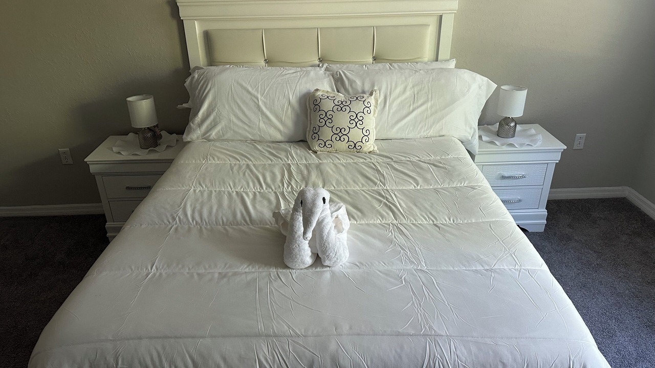 Photo of Bedroom in Bearss Plaza
