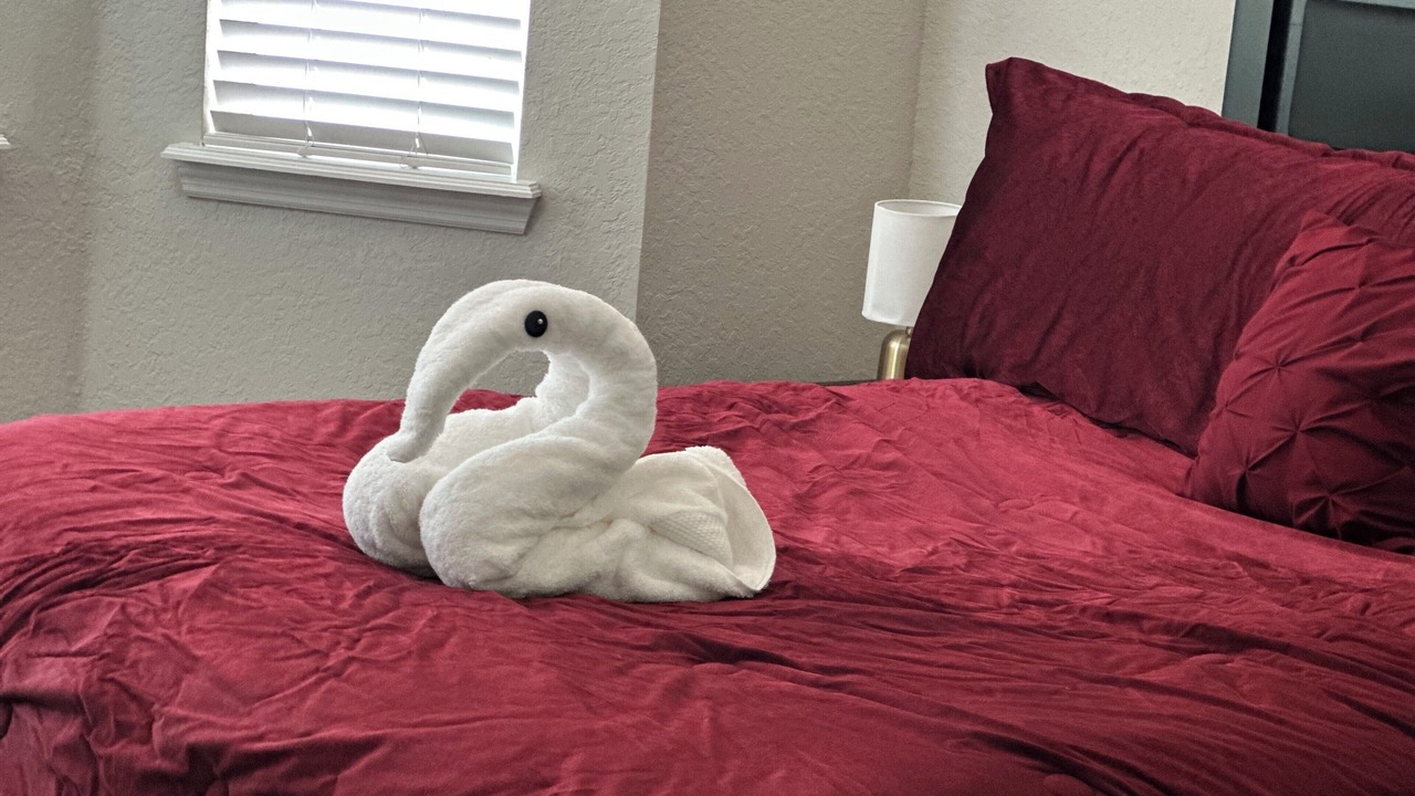 Photo of Bedroom in Bearss Plaza