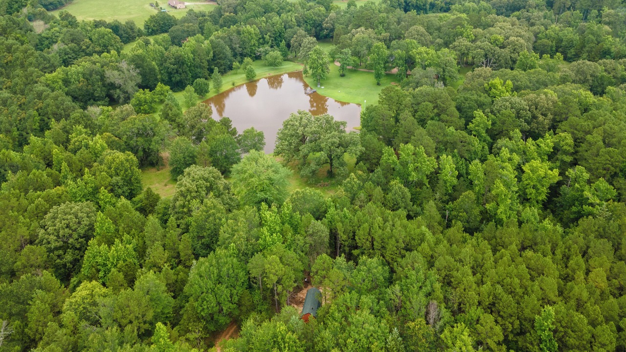 Photo of Outdoor in Mineola