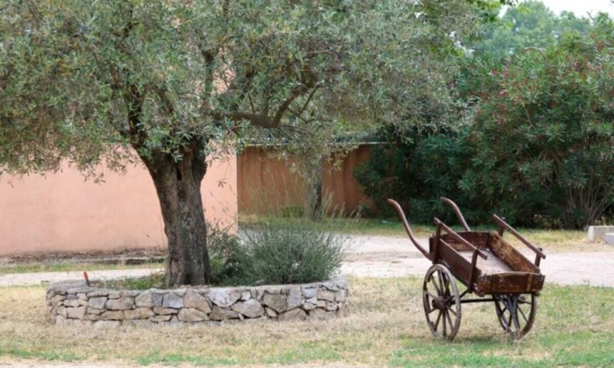 Photo of Outdoor in Bouillargues