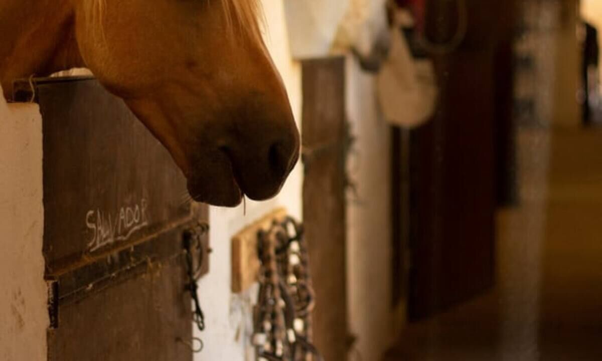 Photo of Others in Bouillargues