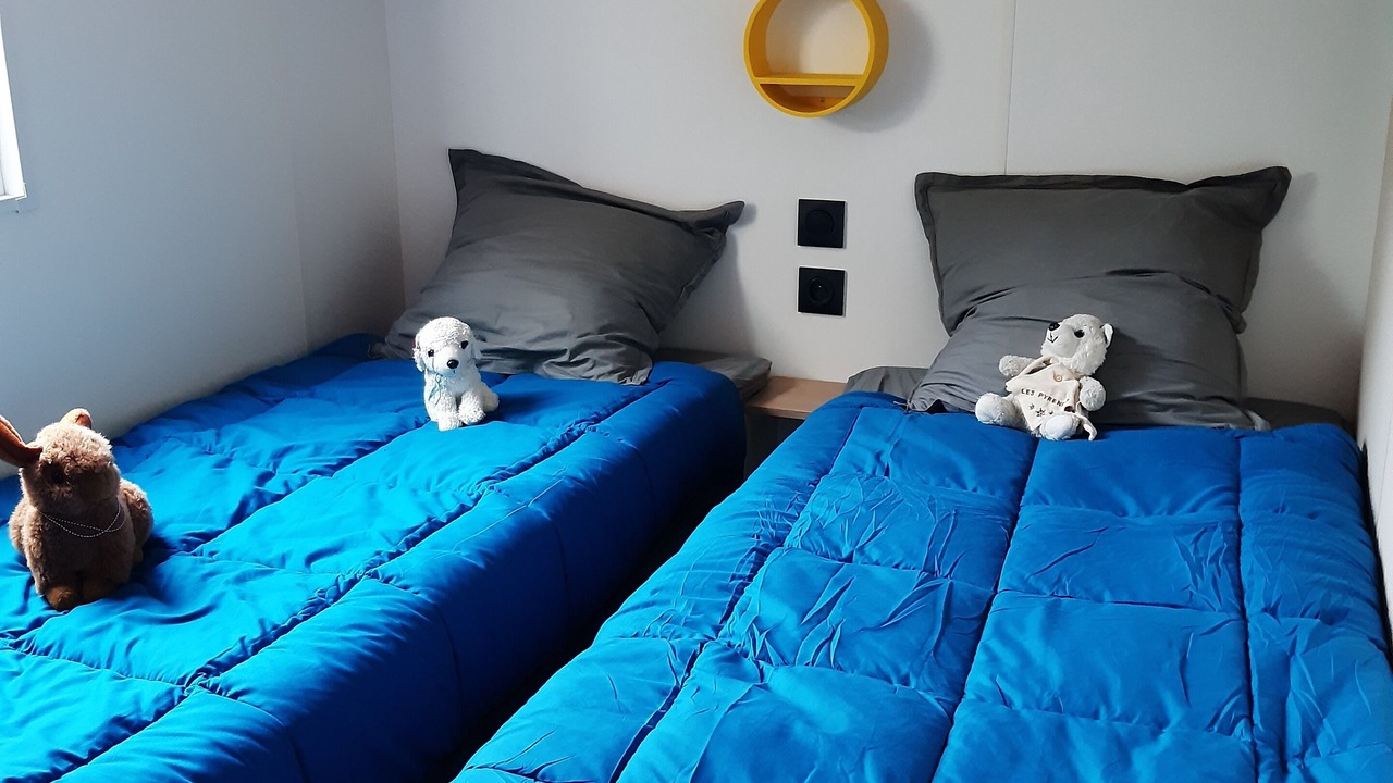 Photo of Bedroom in La Chapelle-Saint-Etienne