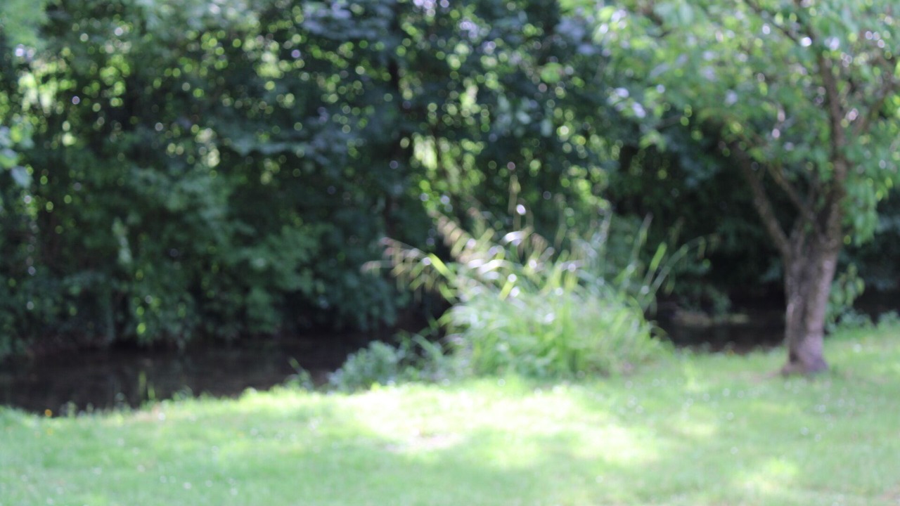 Photo of Others in Doudeauville