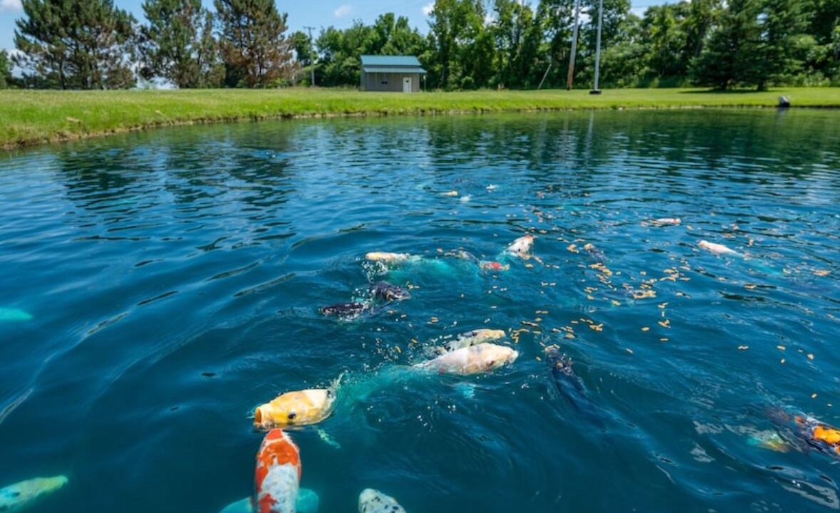 Photo of Others in Fultonville