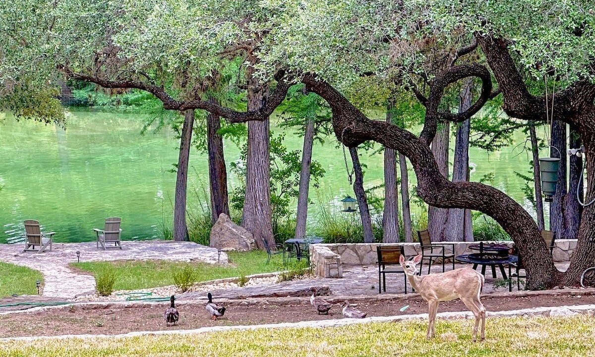 Photo of Outdoor in Uvalde County