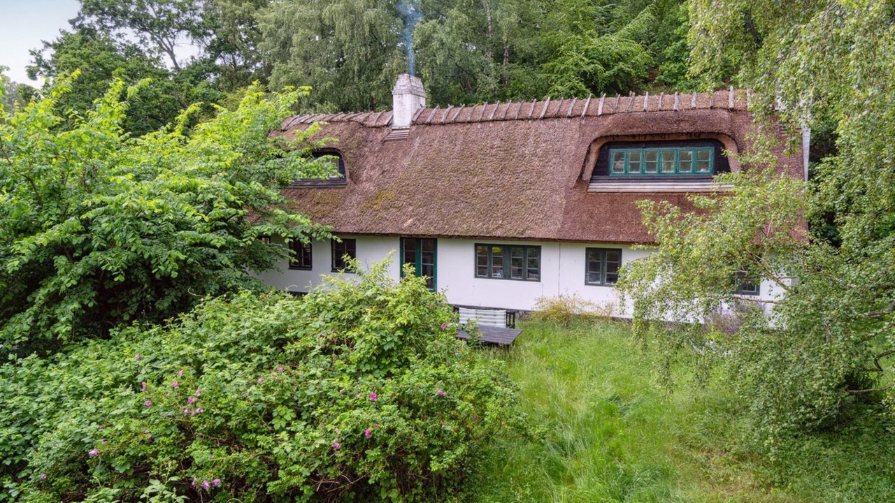 Photo of Others in Tisvildeleje