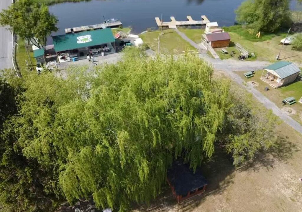 Photo of Outdoor in Hammond