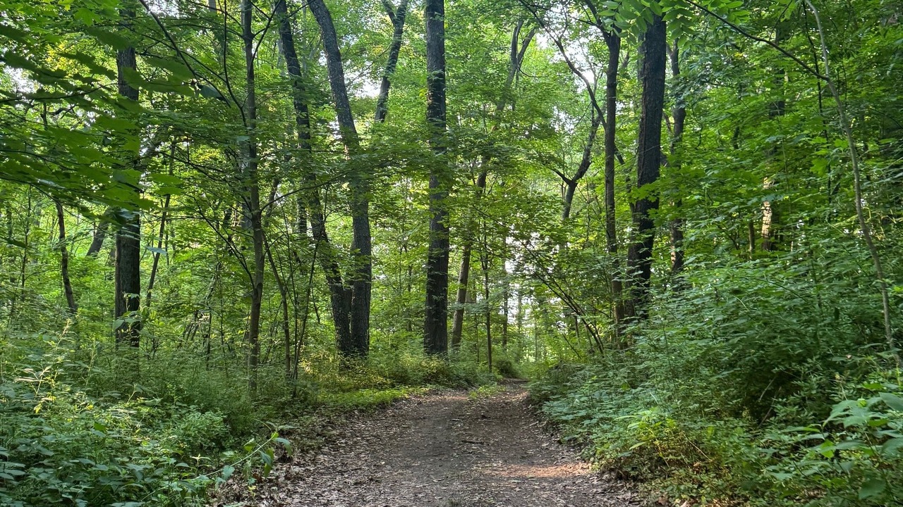 Photo of Others in Mill Creek