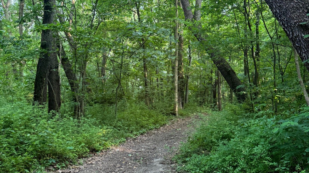 Photo of Others in Mill Creek