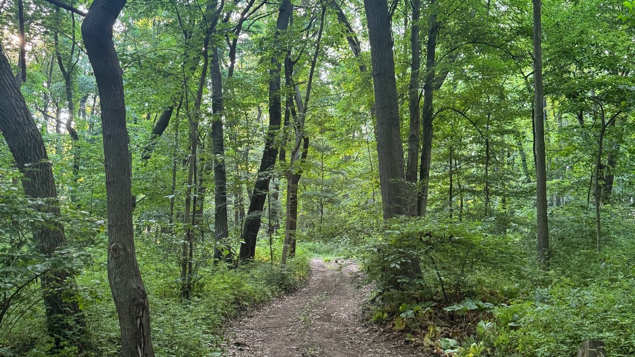 Photo of Others in Mill Creek