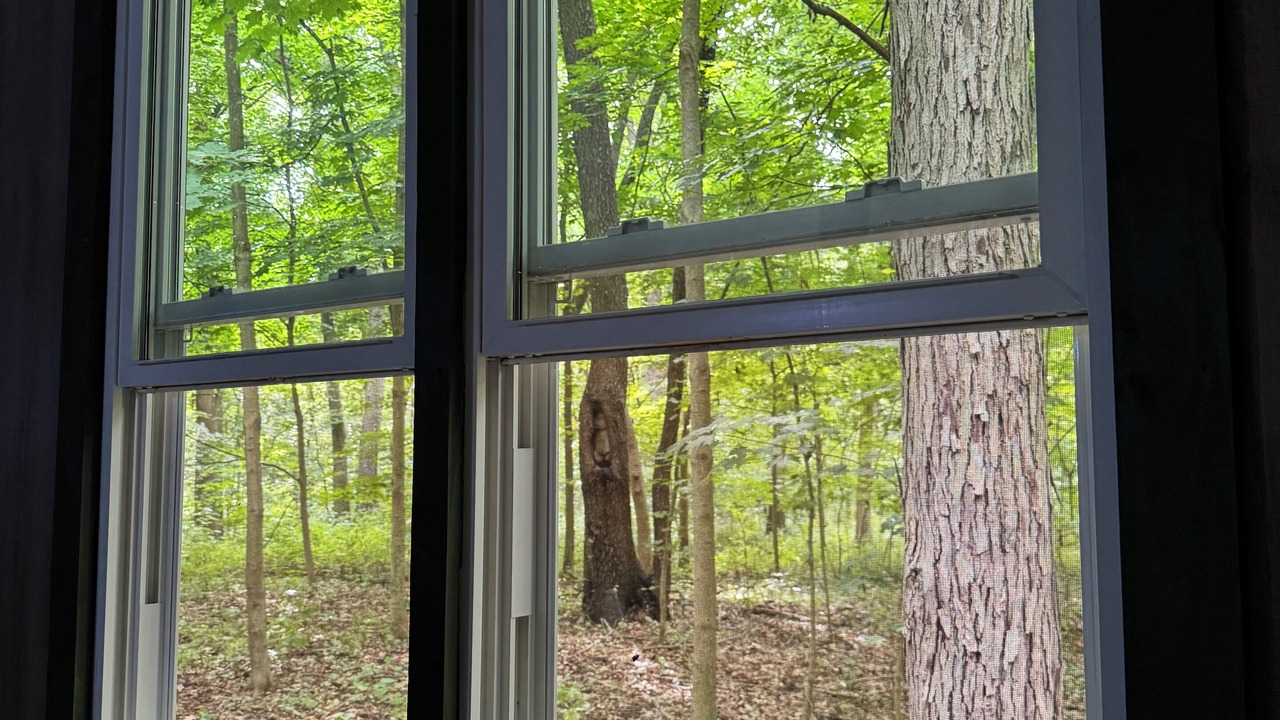 Photo of Others in Mill Creek