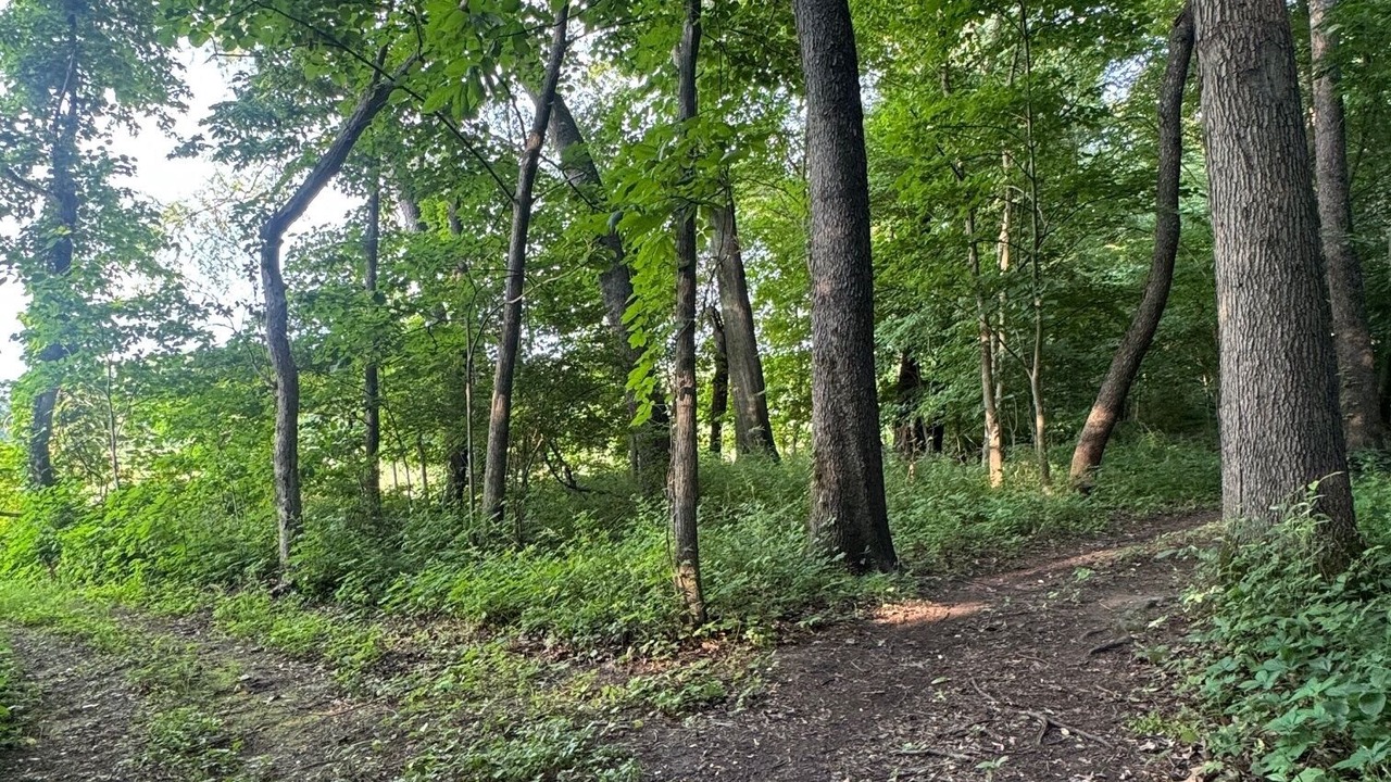 Photo of Others in Mill Creek