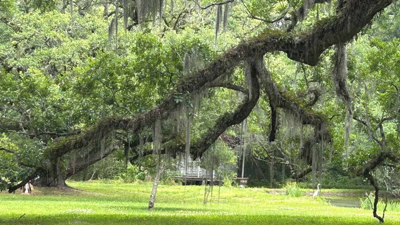 Photo of Outdoor in Jeanerette