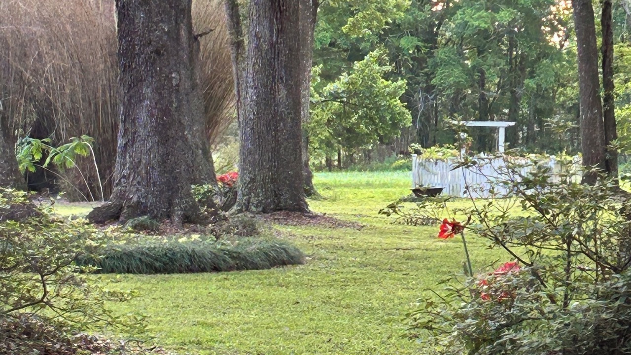 Photo of Outdoor in Jeanerette