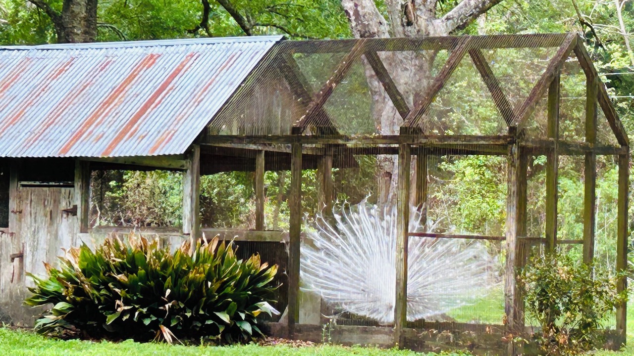 Photo of Others in Jeanerette