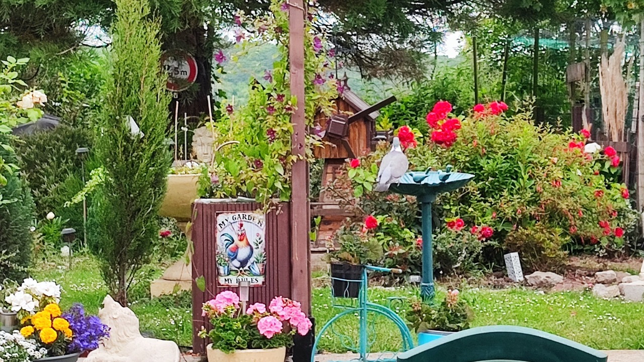 Photo of Outdoor in Neufchatel-Hardelot