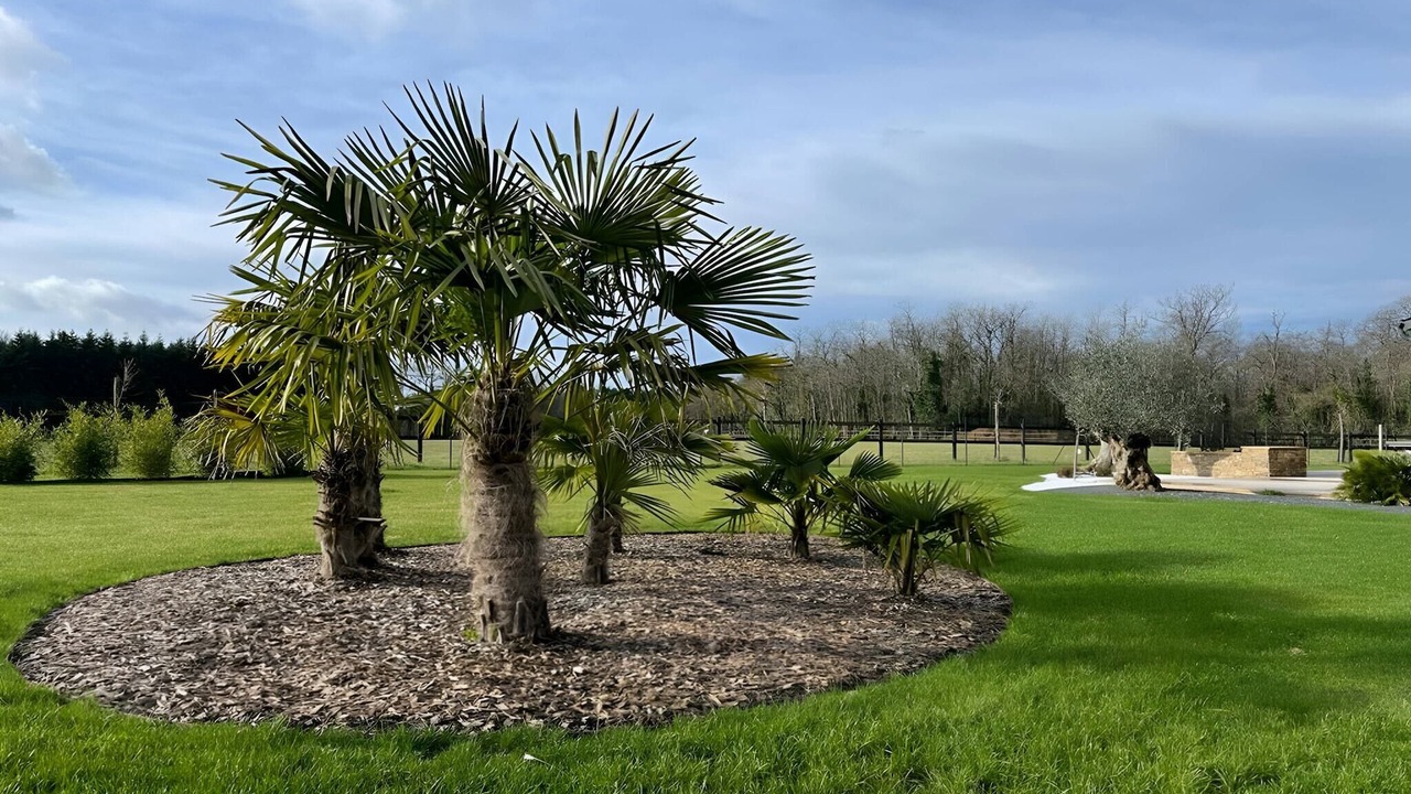 Photo of Outdoor in Saint-Corneille