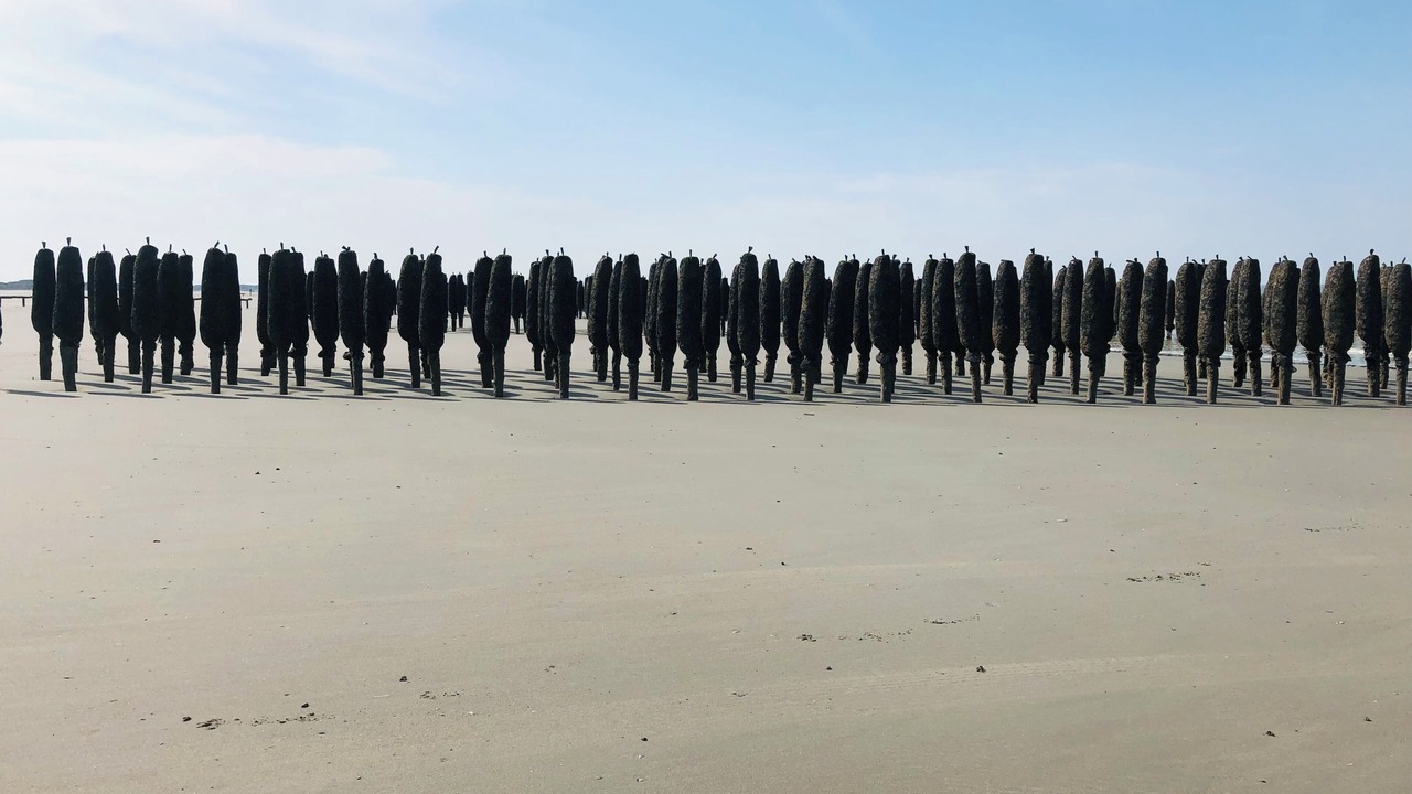 Photo of Others in Hardelot-Plage
