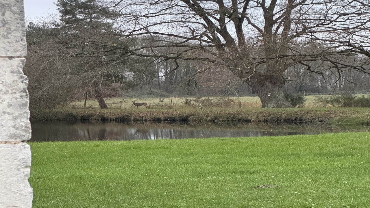 Photo of Outdoor in Aubigne-Racan