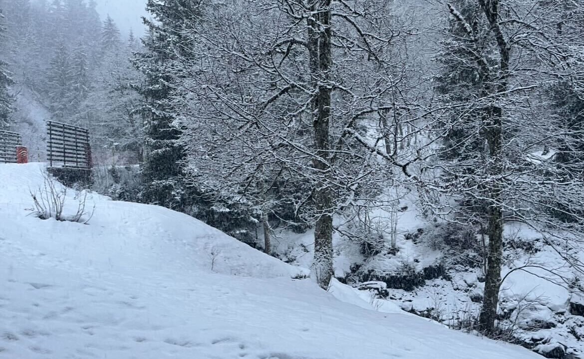 Photo of Others in Valmorel