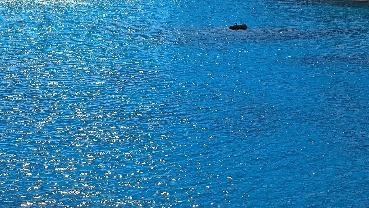 Photo of Others in Chateauneuf-les-Martigues