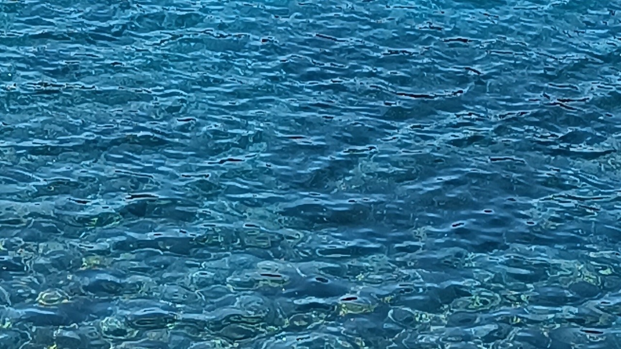 Photo of Others in Chateauneuf-les-Martigues