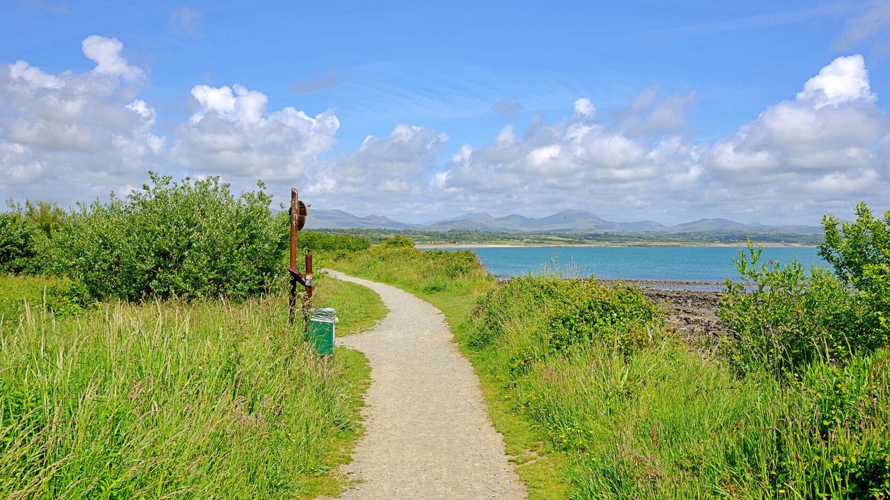 Photo of Others in Rhyd-y-clafdy