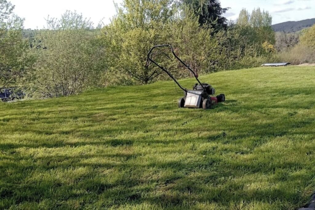 Photo of Outdoor in Llandovery