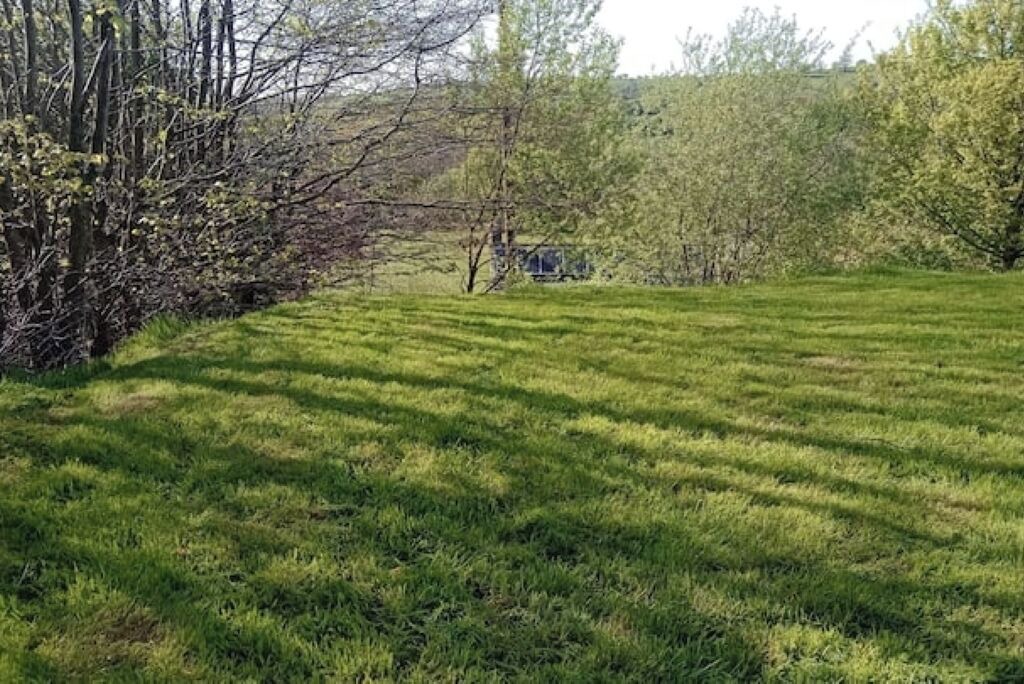 Photo of Outdoor in Llandovery