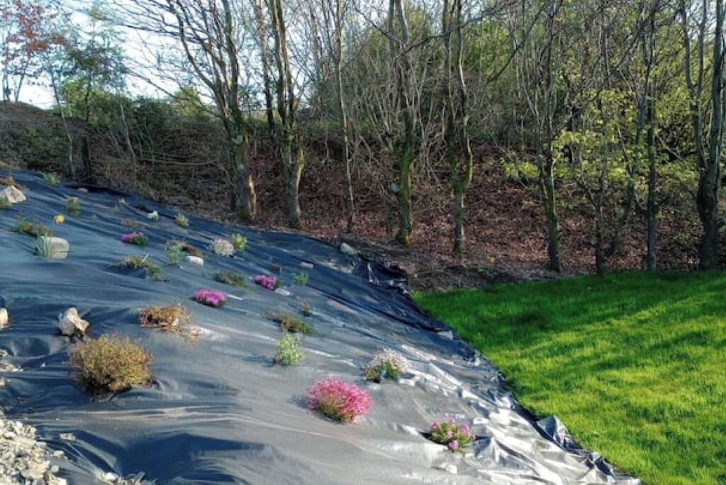 Photo of Outdoor in Llandovery