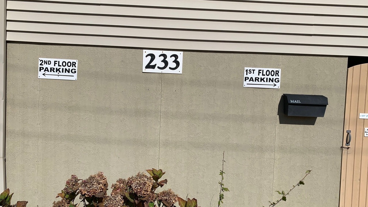 Photo of Outdoor in South Beach Haven
